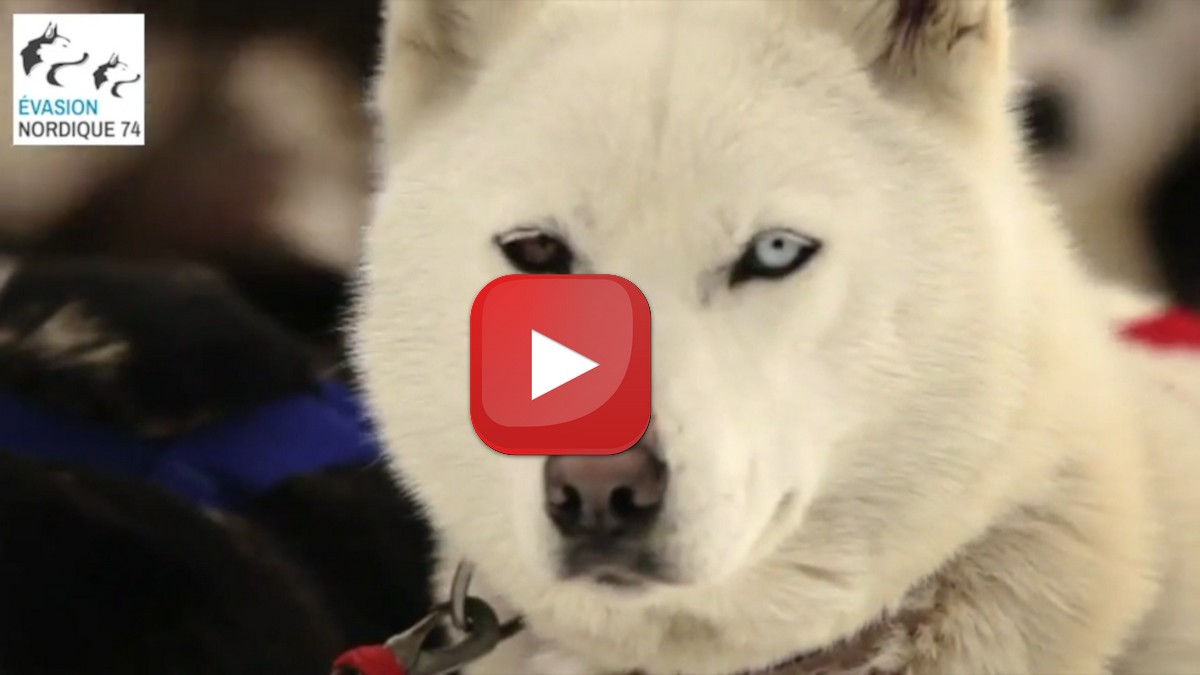 Discover Evasion Nordique on the program Itinéraires Bis